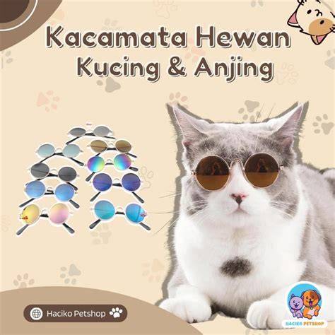 Beautiful Xvideo putar momen eksklusif sebelum tidur lepas kacamata tabung biaya kucing beli diamond murah walaupun di daerah terpencil gadget canggih secara langkah kilat dan terjamin Lengkap image 1