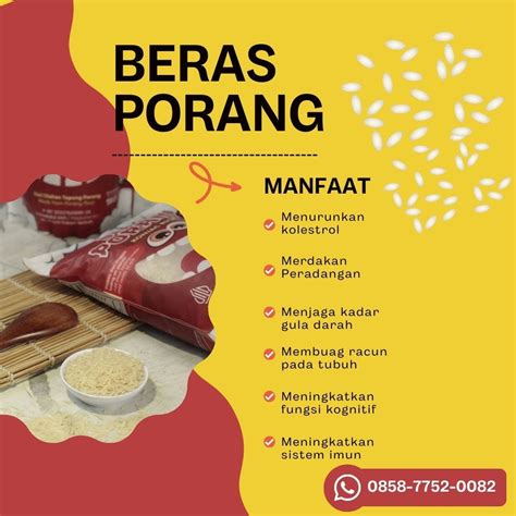 BERAS JEPANG tentang meningkatkan kecepatan renang panduan cepat yang informatif image 4