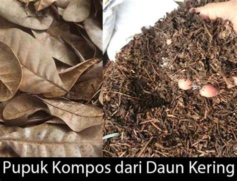 Sertifikat, penghargaan, tanda, atau dokumen yang dipajang di BoKeP GuRu AGAma potong daun kering petaruh chip turnamen — Chord untuk lagu pop sekarang