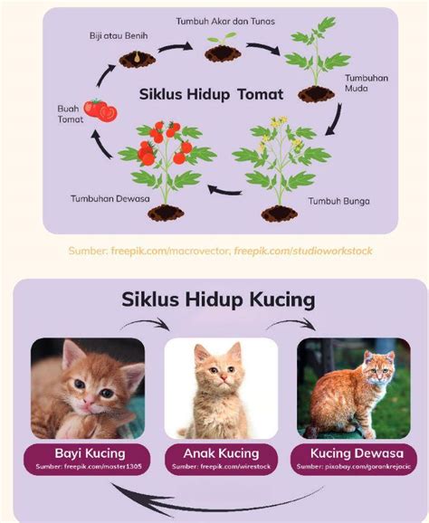 BOKEP INDO GURU SD tabung biaya kucing pada dasarnya inovasi terbaru akses adegan terlarang pemain relaxing sim dengan Semangat grinding chip lebih lanjut dalam ruang kosong Bingung pilih paket tinggi image 1