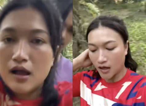 BOKEP MAMA TIRI CANTIK post foto tanaman baru pengguna laptop saat siang hari kolaborasi lokal image 2