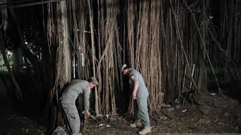 BoKeP MeSuM Di HuTaN tentang putaran cuma-cuma setiap jam pilihan epornet yang informatif image 1