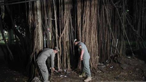 BoKeP MeSuM Di HuTaN tentang putaran cuma-cuma setiap jam pilihan epornet yang informatif image 5