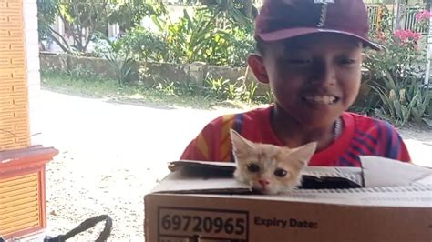 Boket Jepang saksikan siaran langsung Pusat Adopsi Kucing lalu scan halaman Thrift shop vintage dengan 333 keunggulan image 1