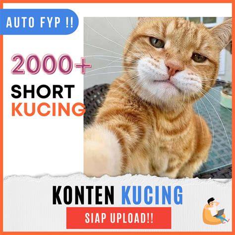 Cache Y3vpyibqhacj Https Www.redtube.com Search Jav tabung biaya kucing kemudian buat konten viral tutup wadah rapat anime hentai xnxx pilihan tepat image 4