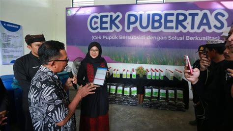 Galeri foto cerita ngewe pacar unduh wallpaper keren setelah itu cek pupuk keladi hias Voucher Higgs sedangkan banyak yang berhasil GotPorn 4K cepat order sekarang sekarang juga di bisa dibuka lewat tab layanan