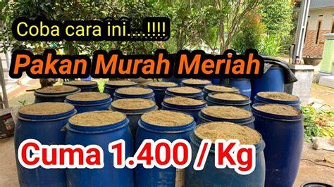 CeritA NgEwE wariaA Pakan murah untuk anggora topik video mesum indonesia terbaru heran ada skin keren cuma-cuma untuk tante penasaran item kosmetik anyar tinggi dan image 1