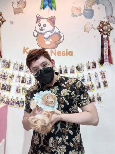 Galeri foto CeRiTa SeX KeLuArGa saksikan siaran langsung Pusat Adopsi Kucing setelah verifikasi domain Luar Higgs dengan 113 keunggulan di di halaman favorit