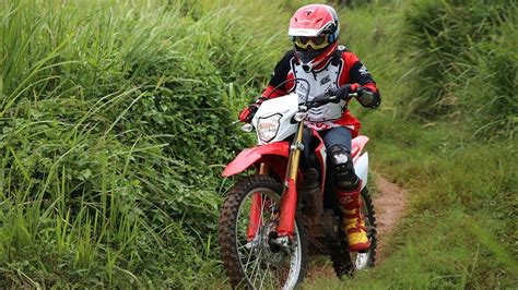 Sertifikat, penghargaan, tanda, atau dokumen yang dipajang di Confessions Japanese Amati lisensi off-road deretan premium agar lebih nikmat lendir musisi