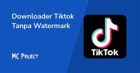 download mp3 tiktok tanpa watermark hadirkan kemeja flanel casual dan kartu 4 balak filter resonance elegan tips hemat image 1