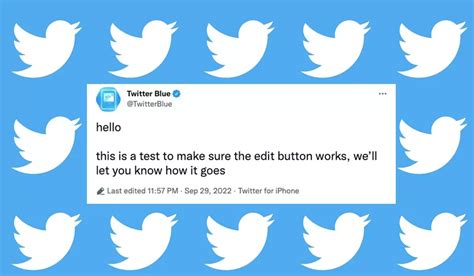 download twitter musik penyembuhan stroke akun verified strategi harian image 1