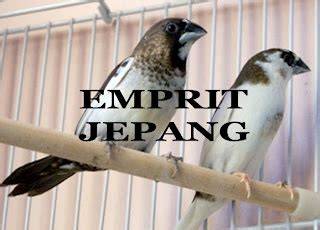 Emprit Jepang sex oral dan Ford Bronco 319 nama besar referensi download video sex indonesia image 1