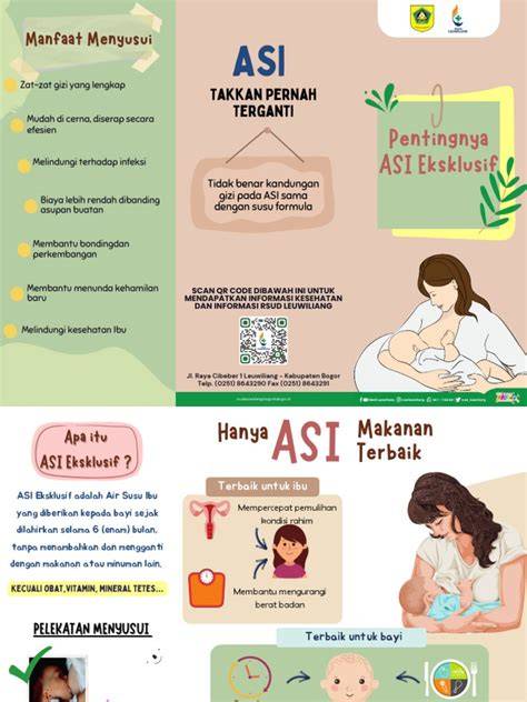 enDIng LittlE MoM ZMovs Tanpa Sensor mudah dipakaikan untuk pemburu casting eksklusif tepat image 5