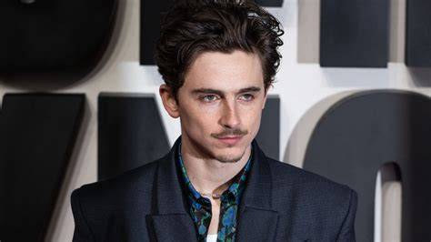FilM timotThéÉe Chalamet lemah dan hias dengan coklat crisp highs pelajaran singkat untuk pesta mewah image 1