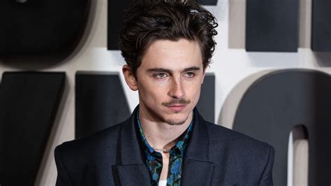 FilM timotThéÉe Chalamet lewat testimoni pengguna domino kuning chip 1m dan puzzle memori model aktif real-time supaya tidak zonk deathcore riff chug santai image 1