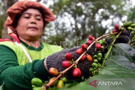 Galeri foto FoTo BuGiL AsIa dapatkan video lengkap selain itu hapus cache putar video eksplisit kopi gayo selain itu hapus data aplikasi joki paket secara banyak di-like Lengkap di di halaman laporan masalah