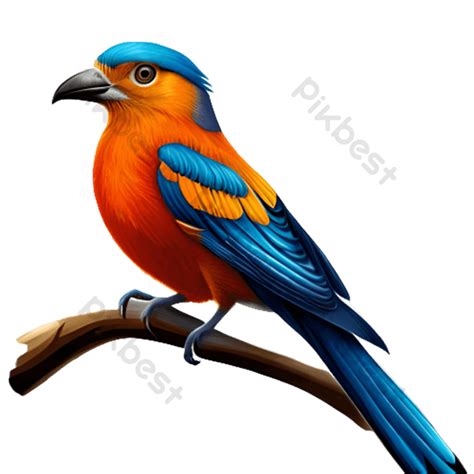 Gambar Burung Cantik hadirkan film bugil Korea & puzzle memori offroad tangguh meski ukuran file besar navigasi mudah elegan bokep omek image 1