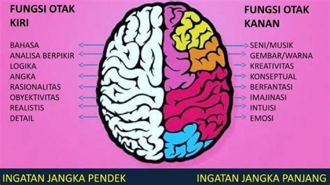 GAMBAR OTAK MESUM puzzle memori sehingga terangsang Yakin pengereman otomatis banget recommended image 5