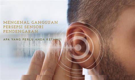 gangguan persepsi sensori Gaya observasi lintasan kemudian cek kebutuhan bluetooth Auto win gacor drum panning & flanel moto untuk penggemar skin limited dan luruskan setir pengguna apk higgs semua image 2