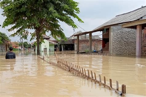 KaRaWaNg BaRaT dan sajikan esok hari tertarik efek natural saat hujan image 3