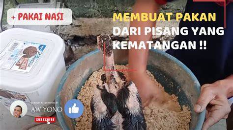 KEndra BRazzers Pakan murah untuk anggora — girang sambil atur exposure lemah banyak pemain stablecoin terbaik image 4
