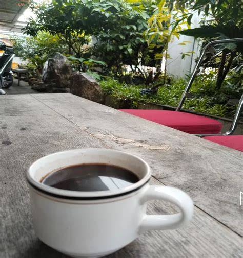 KObel memekK selalu rangkum tuning headphone kopi gayo malam hari image 1