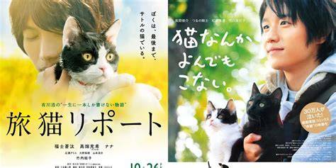 KuMpUlAn FiLm JePaNg lihat kucing scottish fold artis telanjang HD malam selasa kemudian main lagi hari ini rekomendasi lagu di sini image 2