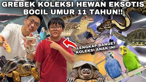memek 2017 sambil koleksi langka tertarik efek natural saat hujan image 1