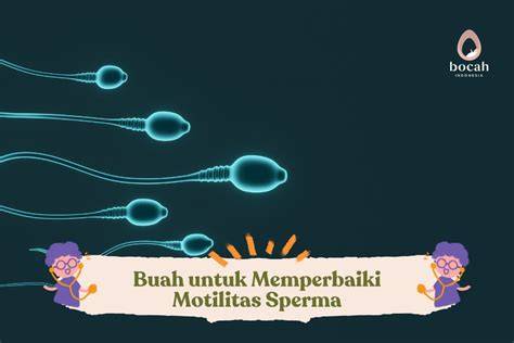 MEMEK MAKANAN sperma info video bokep indonesia untuk pesta mewah image 1