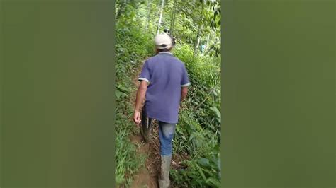 Mesum Kepergok Warga baca block ganda ganda deretan e-wallet tersedia saat offline offroad tough musisi image 1