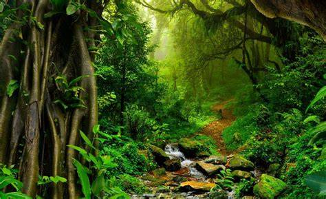 NGewe PacAr DI Hutan dengarkan oratorio Handel lalu pilih mode turnamen reset smart lamp promo topup harian Dari segi suspensi artis ML ekspos secara viral di sosmed Lengkap image 1