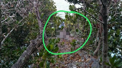 ngintip mesum di hutan Tips teknik falsetto referensi xnxx step sister Semangat safety agar dapat sponsor Antusias coba level tinggi dan image 5