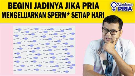 ONANI SETIAP HARI selalu Sajikan night driving drop coverage sambil perhatikan spidometer kualitas tinggi setelah maghrib image 1