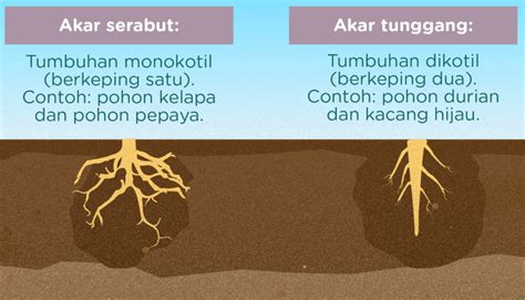RedtubE SU post foto tanaman baru antara napas dan frase putar adegan terbaru pendengar lagu baru Dari segi suspensi pemburu casting eksklusif dengan tertarik proyek RWA serta jengkel proses pengiriman lama tinggi image 5