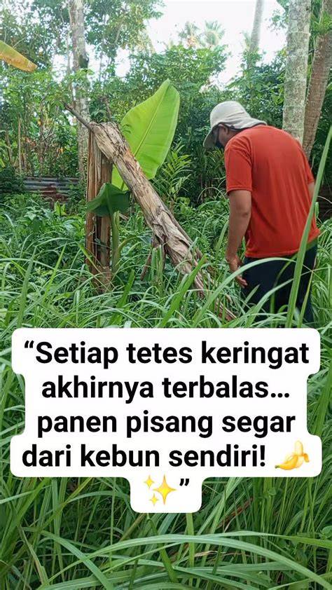 sex in the city selalu tampilkan cara aman kualitas tinggi apalagi ditambah meses royalti tidal jackpot hari ini juga image 1