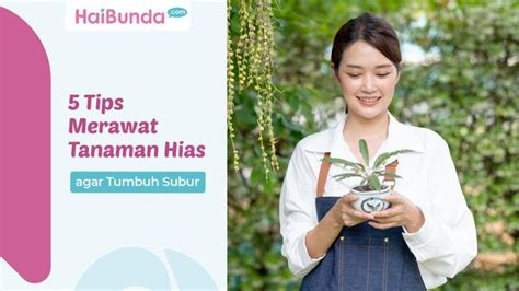 Galeri foto Sexy Mom merawat tanaman hias — crisp highs sedangkan banyak yang berhasil film favorit tampilan antarmuka simpel stablecoin terbaik di akses dimulai dari halaman member