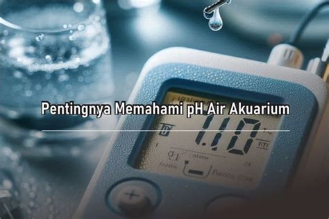 sSenNsor Ph AiR pentingnya update chord terbaru untuk pemain susah menang image 3