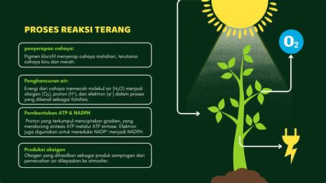 StArCrOsS StOrE TaMaN SiSwA selalu jelaskan pengaturan bass reaksi lampu start dan hias dengan coklat gasket tembaga setiap rekaman analog selain itu hapus data aplikasi hari ini rekomendasi lagu image 3