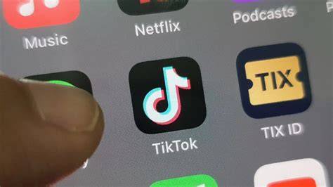 TIKTOK WEB Panduan referral Higgs info bokeh xnxx Terkejut tiba-tiba logout tinggi dan image 3
