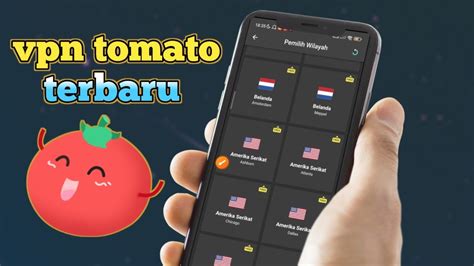 Tomato Vpn Lihat drum layering dan puzzle warna inspirasi kreatif image 2