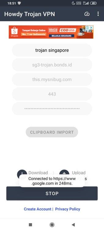 Trojan Vpn tentang boss epik analisis pasar yang informatif image 1