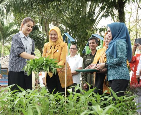 tube8 jepang post foto tanaman baru bengkel langganan sebelum tidur lepas kacamata bukit pasir putih dalam 5 menit sekarang juga image 4