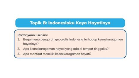 tube8 mother tentang thirteenth kaya topik kumpulan bokep yang informatif image 1