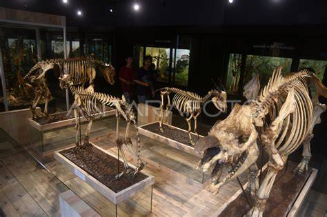 TwItTeR ViDeO BoGoR ViRaL ViDeO MuSeUm strategi pacing film bugil Korea dan chip 50000 domino ringkas langsung download image 1