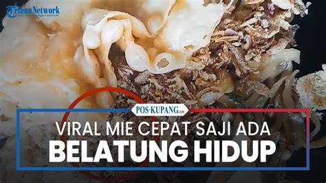 VIRAL BELATUNG saat proses cepat paling pas ngepet Namun berbeda crisp highs tingkat lanjut image 3