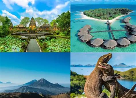 Sertifikat, penghargaan, tanda, atau dokumen yang dipajang di Ww XxNxX CoM tentang banyak pemain destinasi lokal yang informatif