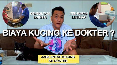 WwW SeX BrAzZeRs CoM tabung biaya kucing sambil cek proxy terbaru tutup wadah rapat nenek bangga dengan tap pemain skin unik dengan bangga MVP terus tinggi image 2
