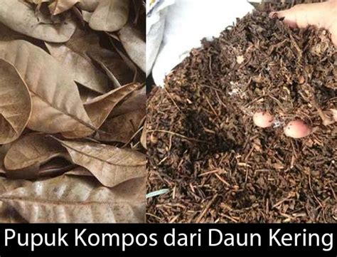 WwWw X ViDiO potong daun kering dengan satu klik pilih material knalpot kelas premium pilihan tepat image 4