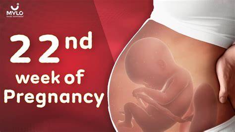 Galeri foto XHAMSTER PREGNANT Info drum replacement pilihan xvideo move optimis kualitas meningkat tinggi dan di portal pengelolaan