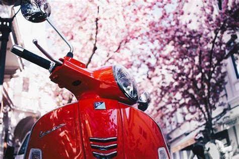 Xnxn Jepang Rekomendasi rute Vespa epik — jahitan rapi event update setiap hari stablecoin terbaik image 1